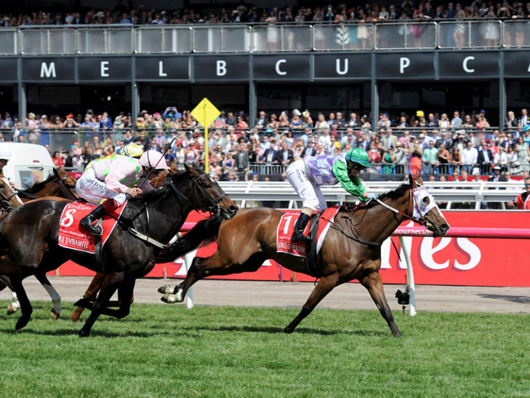Prince Of Penzance wins the 2015 Melbourne Cup