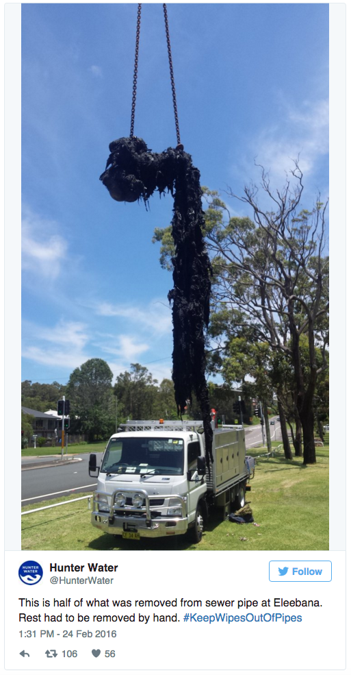 So-called flushable wet wipes are creating “fatbergs” and clogging sewers around the world | FIVEAA